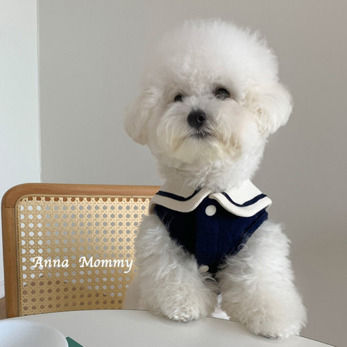 春夏宠物学院风水手服狗狗衣服装