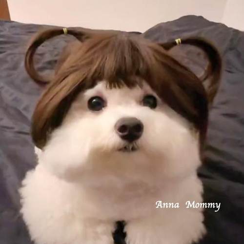 狗狗假发宠物猫咪头发小狗头套