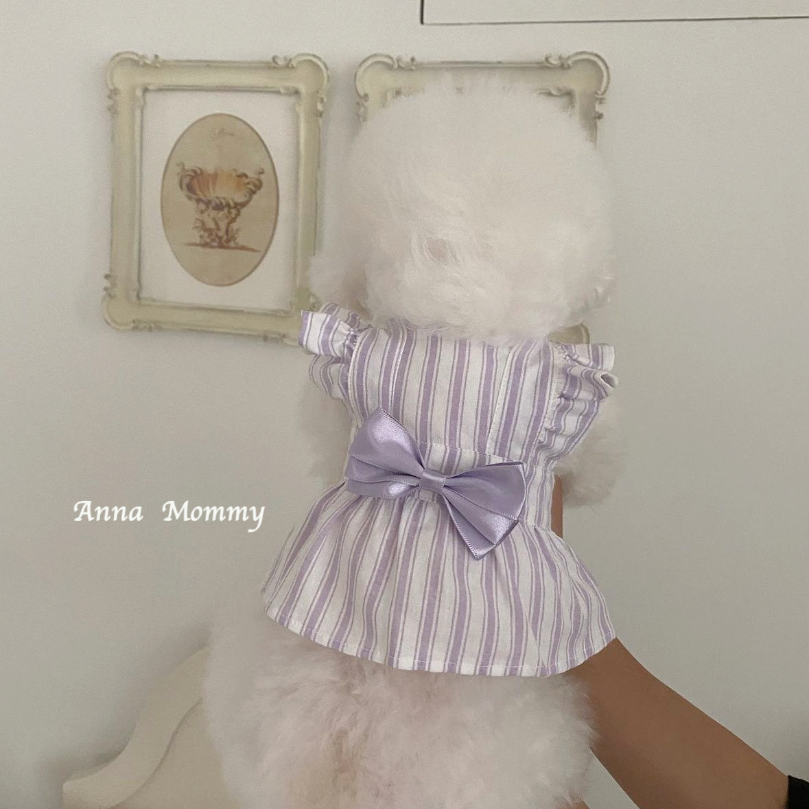 宠物狗狗夏天衣服猫咪背心可爱飞袖条纹连衣裙夏季薄款比熊雪纳瑞图片