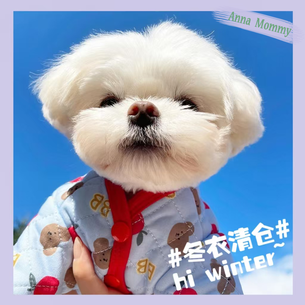 冬季特价清仓狗狗衣服宠物保暖泰迪比熊小型犬冬季棉衣马甲猫咪