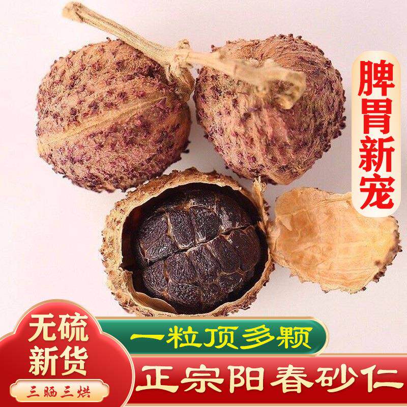 正宗阳春春砂仁特产野生沙仁100克大果干货陈皮煲汤料砂仁中药材