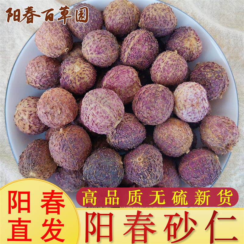 正宗阳春砂仁甄选大果 养胃煲汤中药材 春沙仁 阳春原产地直发