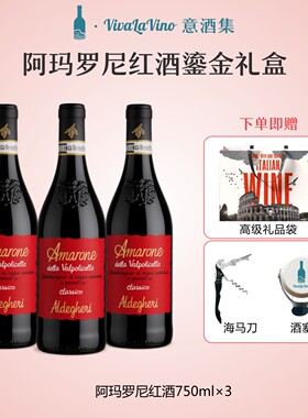 意酒集 意大利原瓶进口阿玛罗尼红酒鎏金礼盒750ml节日送礼