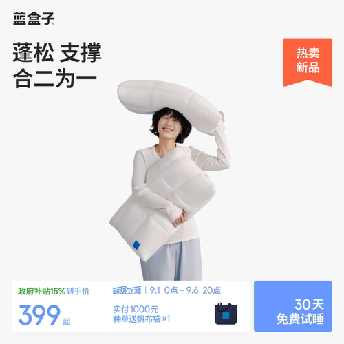 蓝盒子枕中枕N3枕头护颈椎可调节记忆棉枕头枕芯一对成人专用礼物