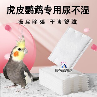 虎皮鹦鹉专用尿不湿屎兜一次性尿布尿垫便兜裤兜垫片尿布尿片免洗