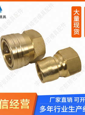 替代日东模具配件 液压大流量 6TSF 6TPF 8TSF 8TPF 黄铜快速接头