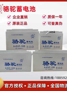 骆驼6-EVF105洗地机电动四轮铅酸