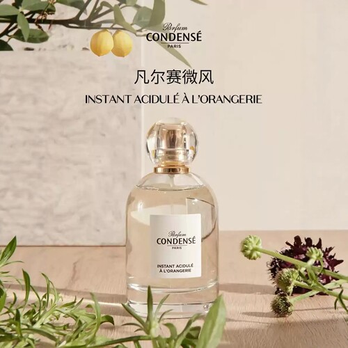 Condense珂蒂丝香水玫瑰藤下小样