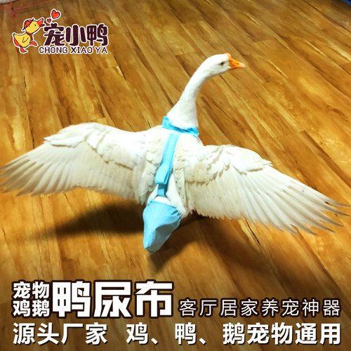 纸尿裤尿不湿宠小鸭粪兜换洗