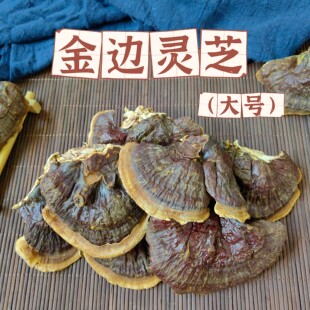 野生长白山金边灵芝清热大号灵芝赤灵芝白肉灵芝泡煮水煲汤料500g