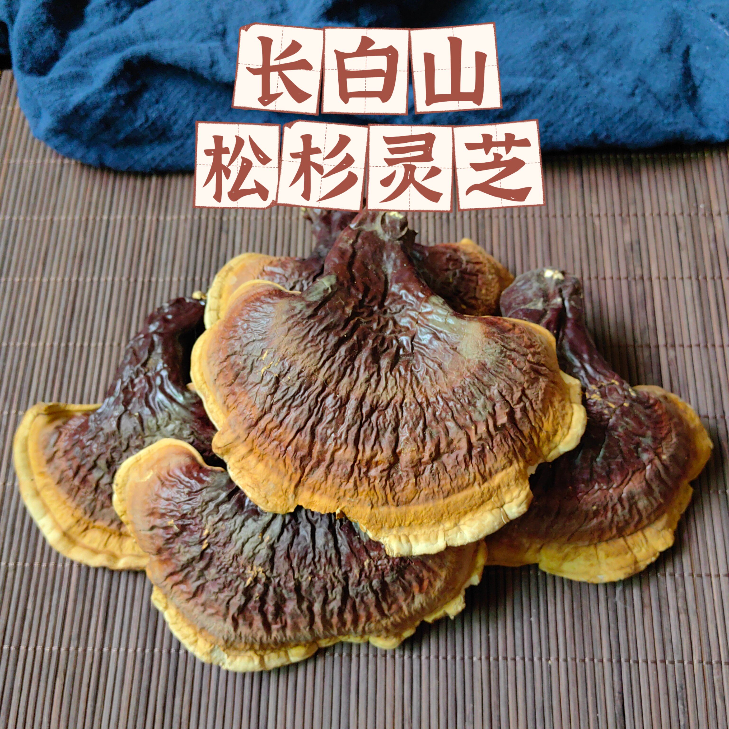 天然野生长白山松杉灵芝大号金边灵芝泡煮水煲汤料泡酒养生茶500g