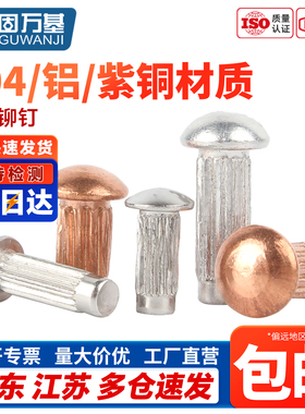 铝标牌铆钉GB827不锈钢滚花铝铆钉铜铭牌商标实心铆钉M2M2.5M3M4