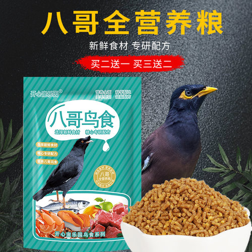 新款八哥鹩哥鸟食饲料鹩哥八哥专用营养食粮鸟料鸟饲料500g