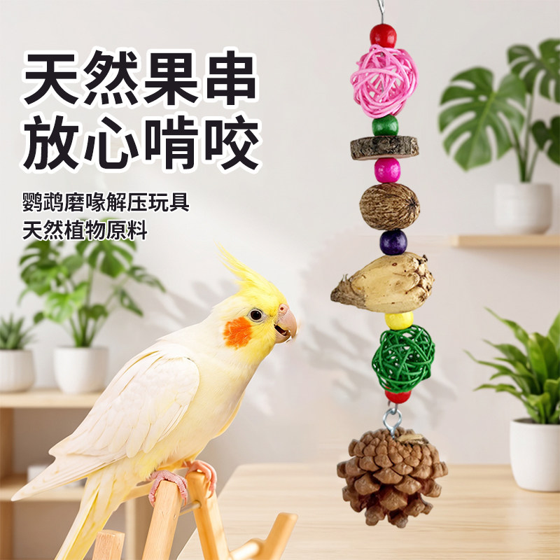 鹦鹉啃咬解闷玩具干果挂串玄风牡丹磨嘴磨牙咬串鸟笼挂件装饰品图片