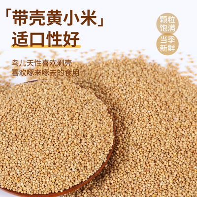 鹦鹉粮带壳黄谷子鸟粮