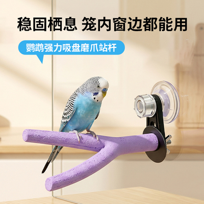 鹦鹉车载站架小鸟外出磨嘴磨爪吸盘站杆用品玄凤牡丹鸟用玩耍站棍