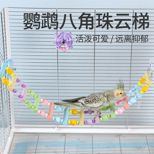 鹦鹉马卡龙色云梯锻炼攀爬梯站杆啃咬玩具玄凤虎皮秋千站台