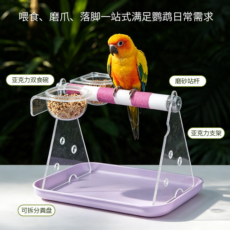 鹦鹉站架桌面定点排便用品训练站台桌面厕所鸟用桌面站台