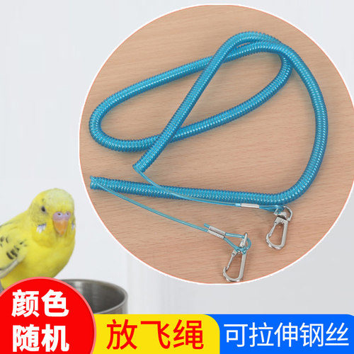 鸟用训练绳遛鸟绳飞行绳鸟绳子鹦鹉牵引绳放飞绳鸟用超轻脚链脚环