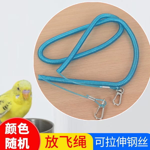 Товары от 快乐鹦鹉旗舰店