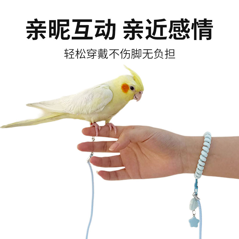 鹦鹉硅胶脚环鸟链外出放飞绳超轻虎皮牡丹玄凤鸟玄凤八哥彩色绳子