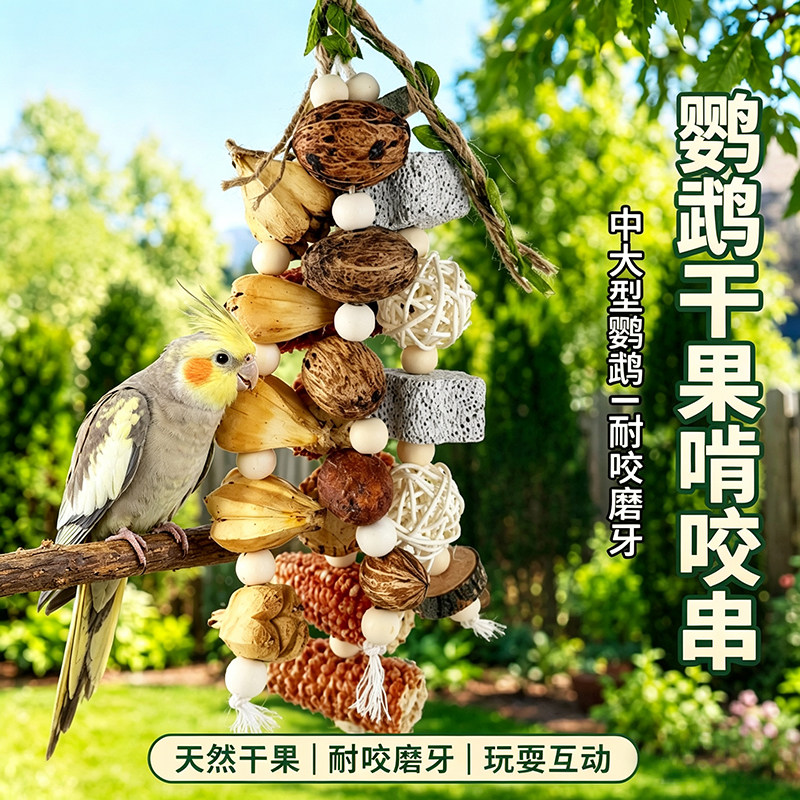 鹦鹉啃咬玩具干果木芒果串鸟笼配件玄凤牡丹小宠啃咬磨嘴磨爪挂串图片