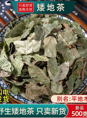 矮地茶中药材500g克正品野生新货平地木不出林紫金牛叶底珠叶下红
