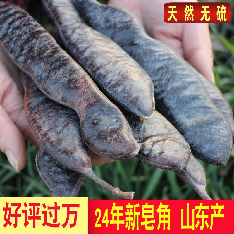 新货大皂角整长荚碎块段