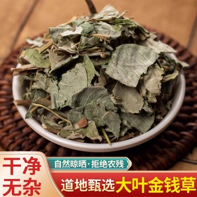 金钱草中草药干泡水喝中药材旗舰店正品非野生大叶广金钱草茶小叶