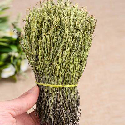 野生独脚金疳积草消积汤中草药小孩儿开胃煲汤消积茶无硫正宗矮脚