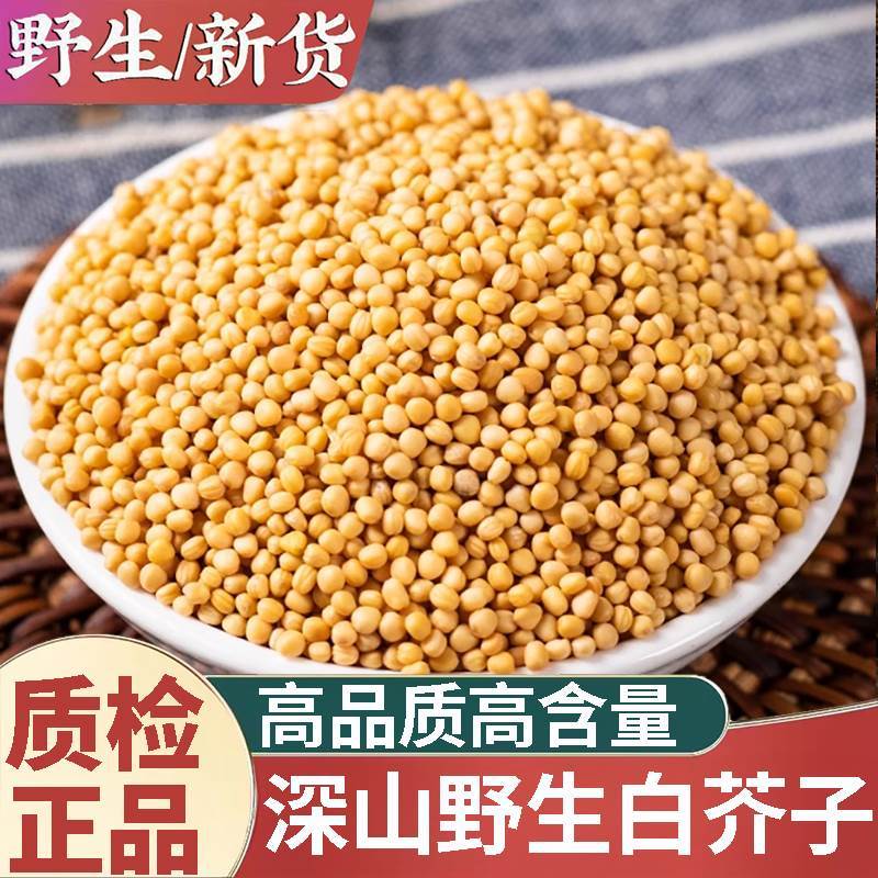 正品野生白芥子新货中药材500g正宗白芥子粉炒白芥子莱菔子紫苏子