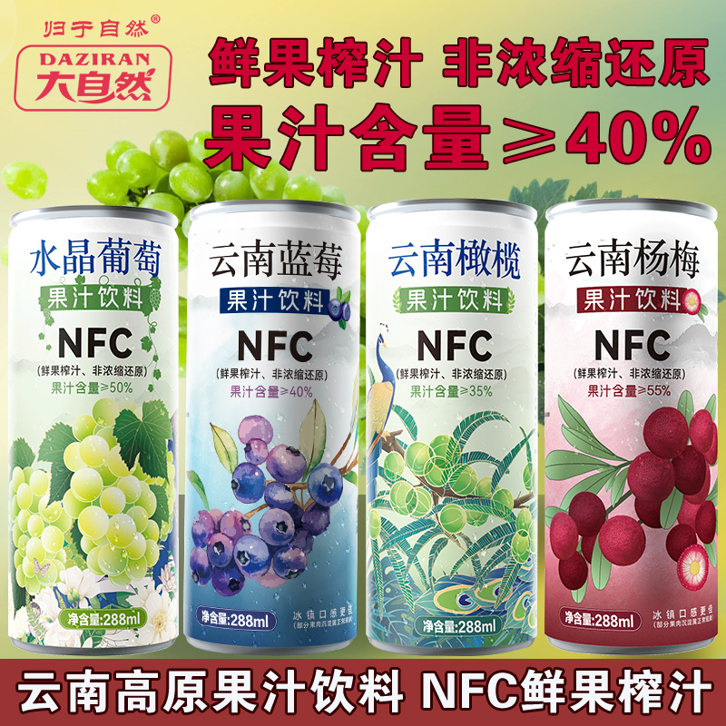 云南蓝莓汁NFC鲜果榨汁归于自然