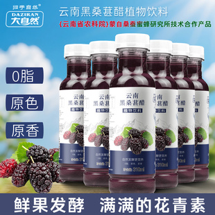 云南黑桑葚醋直接饮用零脂肪天然花青素本色正宗口味果香浓郁