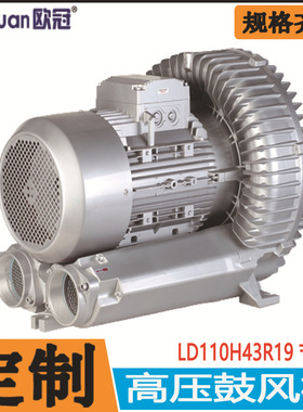 供氧高压鼓风机 LD110H43R19真空压缩鼓风机11KW漩涡鼓风机