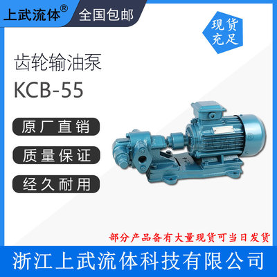 KCB系列齿轮油泵/铸铁齿轮输油泵/齿轮式油品专用泵KCB-55