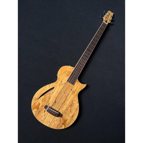 LTD TL-5SM 5-String Acoustic Bass电箱5弦跨界电木贝斯