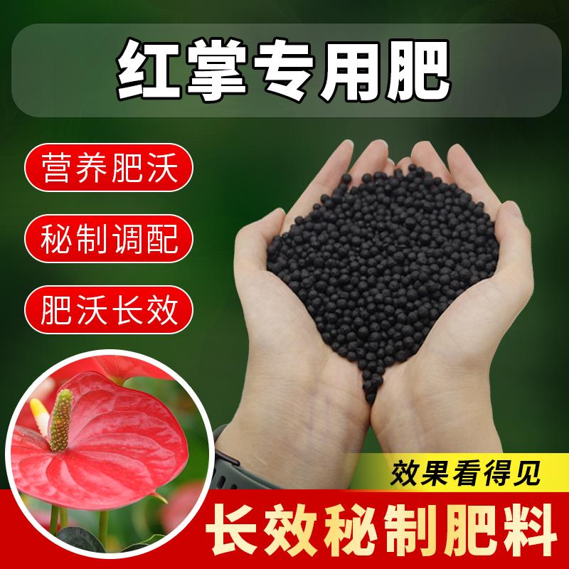红掌专用肥料家庭种花养花肥料花的营养肥红掌肥料盆栽通用缓释肥
