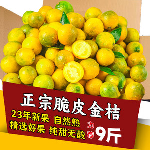 广西融安脆皮金桔脆甜小橘子新鲜水果当季整箱包邮滑3皮孕妇青5橘