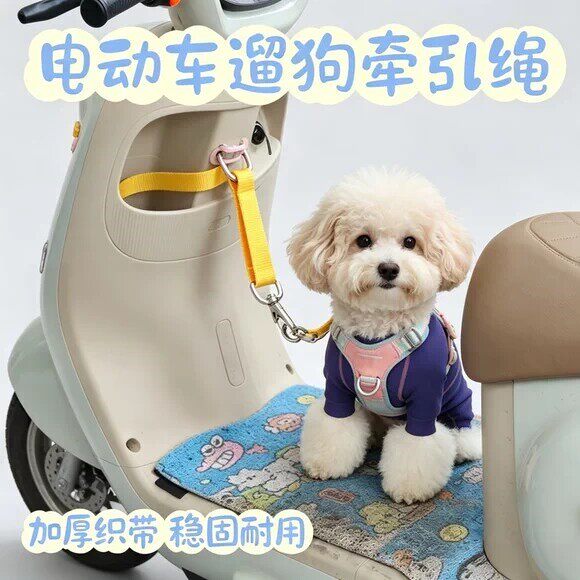 小型犬电动车防跳牵引绳狗狗可调节网红款宠物外出兜风固定神器