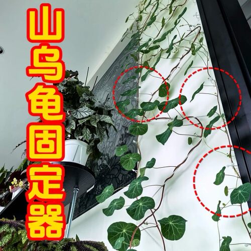 山乌龟爬藤固定器绿植物球兰月季攀爬墙花支架防倾倒移位免打孔夹