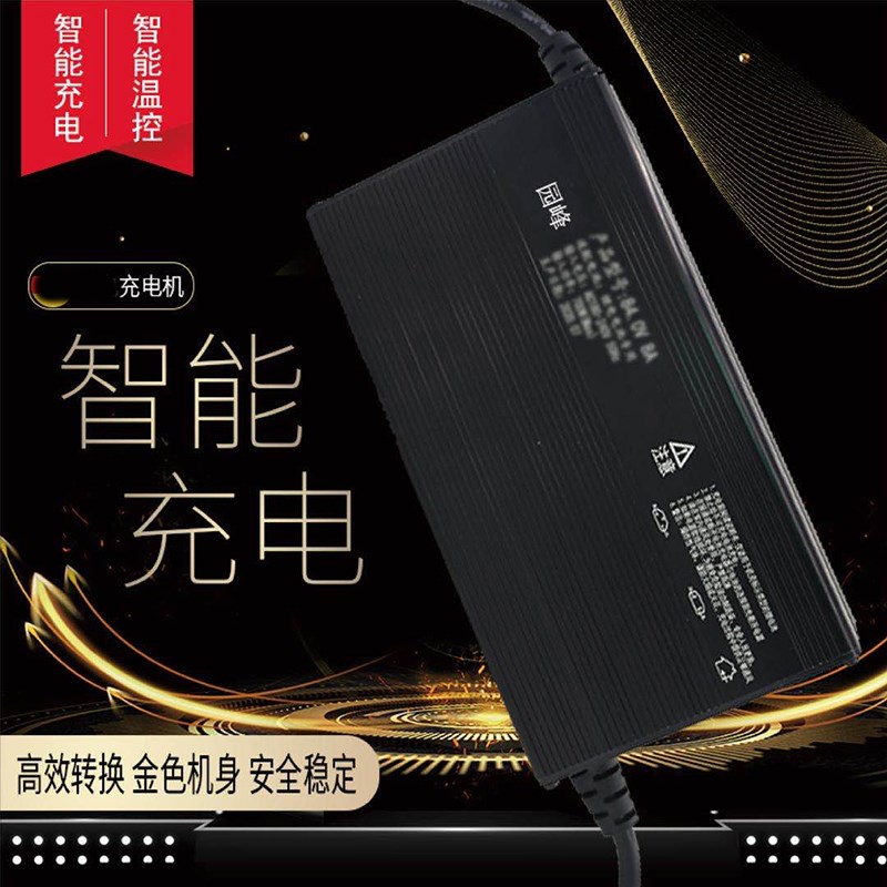 大功6率0伏48V15A安充电器免维护电池72v100ah电瓶动三四轮车干水