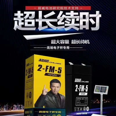 电子秤充电器充电线电子秤电瓶台秤蓄电池4V6AH电瓶表头高精度