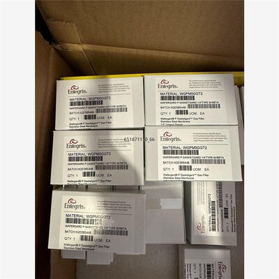 美国ENTEGRIS气体过滤器,滤芯常规以及稀缺型号,都能找