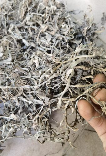 250克自晒新货痰火草 围夹草 广东猫爪草 化核草 散结草 化痰草