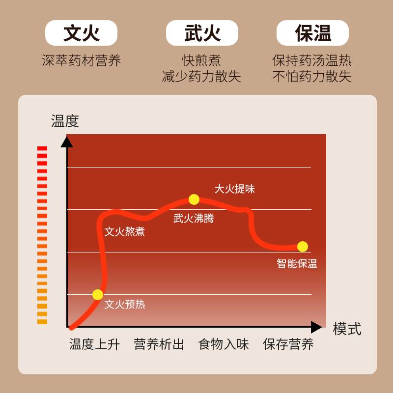 竹水溪中药壶全自动多功能熬炖砂锅家用电煎药壶大容量陶瓷煮药罐