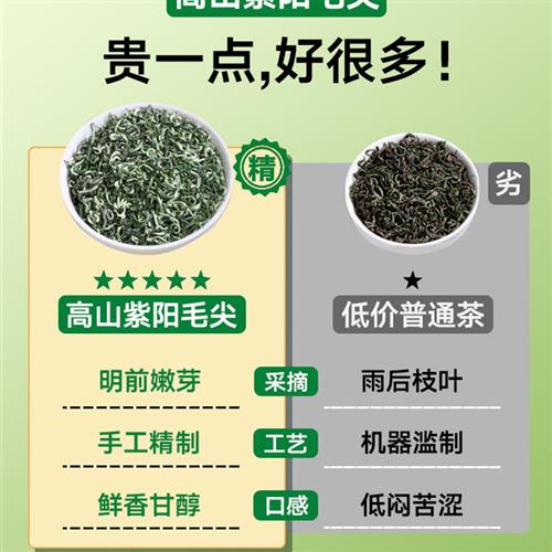 紫阳茶毛尖富硒产区茶叶陕南绿茶特级陕西安康特产茶2023新茶500g