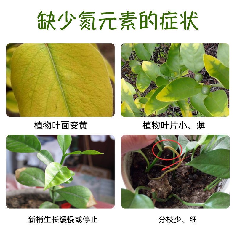 园通氮肥艺用型j用家植物生长素尿素养花绿萝花卉盆栽氮磷钾肥料