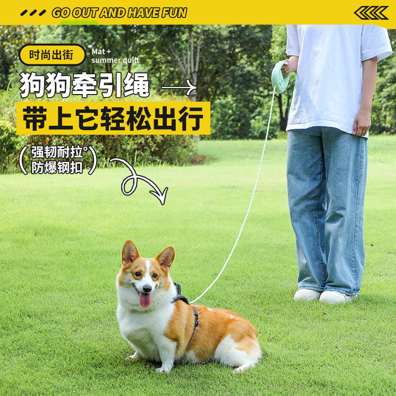 夏季透气不勒夜光防挣脱牵引绳