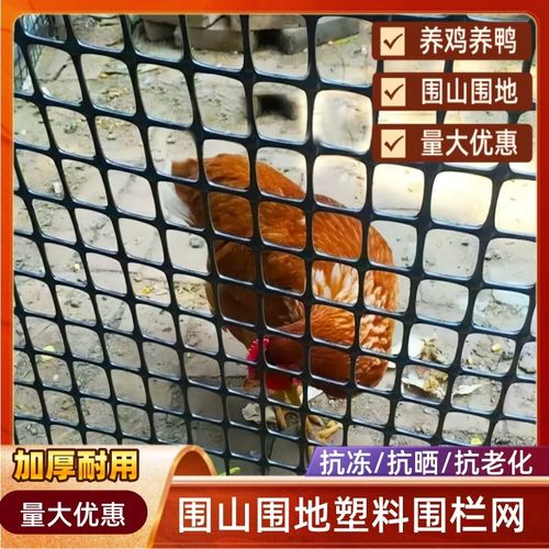 养鸡围栏网塑料加厚胶网室外养鸭网家用家禽养殖用品防护栏网