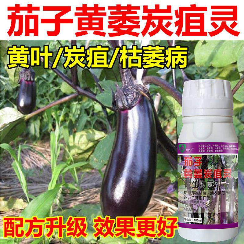 茄子专用药茄子黄萎病炭疽病疫病灰霉病根腐病枯萎微生物菌剂肥料